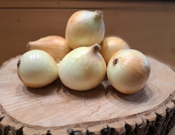 Bedýnky na čtvrtek 13.11.2025