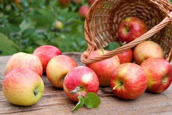 Čtvrteční bedýnky 20.11.2025