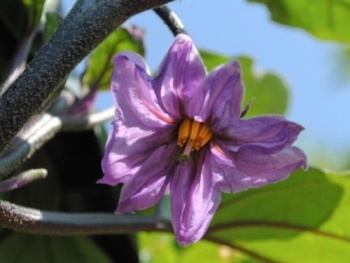 Dobrá zpráva pro naše členy