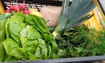 Čtvrteční bedýnky 09.04.2026