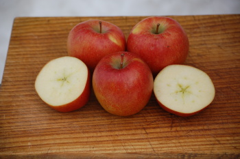 Bedýnky na čtvrtek 16.04.2026