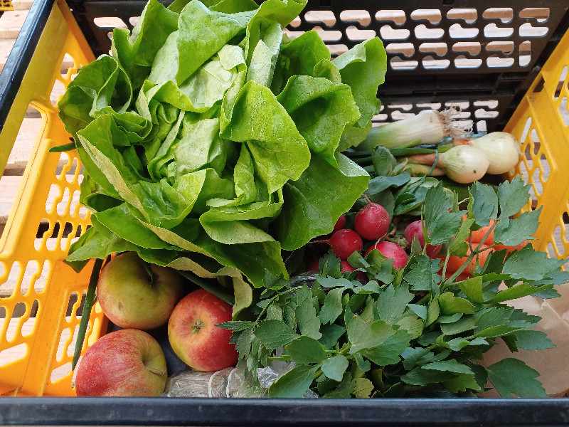 Čtvrteční bedýnky 23.04.2026