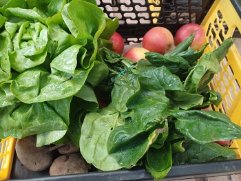 Čtvrteční bedýnky 30.04.2026